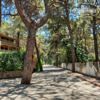 фото из отзыва ID 2711945