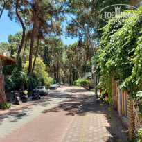 фото из отзыва ID 2711945