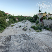 фото из отзыва ID 2711945