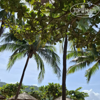 фото из отзыва ID 2711956