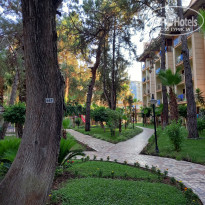 фото из отзыва ID 2711945