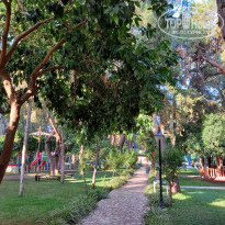 фото из отзыва ID 2711945