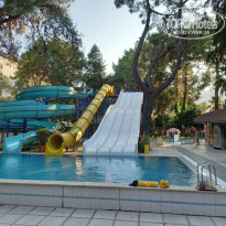 фото из отзыва ID 2711945