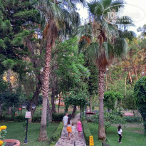 фото из отзыва ID 2711945