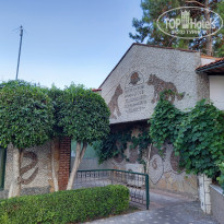 фото из отзыва ID 2711945