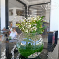 фото из отзыва ID 2711967