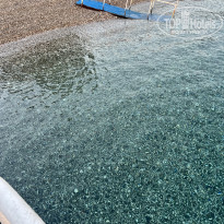 фото из отзыва ID 2711986