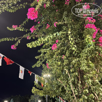 фото из отзыва ID 2711986