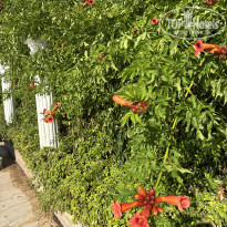 фото из отзыва ID 2711993