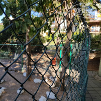 фото из отзыва ID 2712011