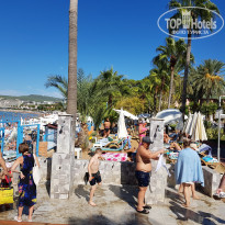 фото из отзыва ID 2712011