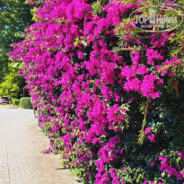 фото из отзыва ID 2712026