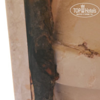 фото из отзыва ID 2712071