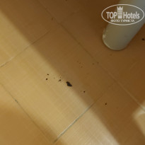 фото из отзыва ID 2712071