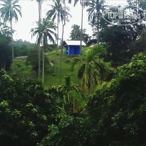 фото из отзыва ID 2712078