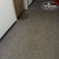 фото из отзыва ID 2712083
