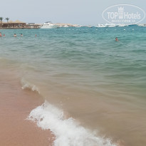 фото из отзыва ID 2712132