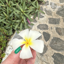 фото из отзыва ID 2712127