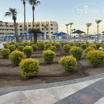 фото из отзыва ID 2712142