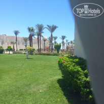 фото из отзыва ID 2712163