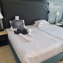 фото из отзыва ID 2712175