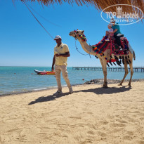 фото из отзыва ID 2712175