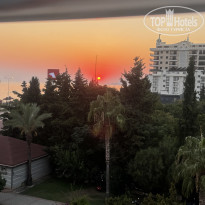 фото из отзыва ID 2712157