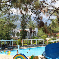 фото из отзыва ID 2712188