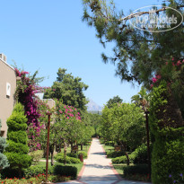 фото из отзыва ID 2712188