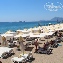 фото из отзыва ID 2712188