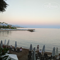 фото из отзыва ID 2712257