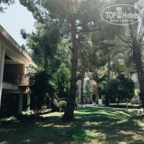 фото из отзыва ID 2712259