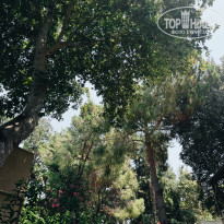 фото из отзыва ID 2712259