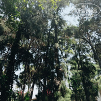 фото из отзыва ID 2712259