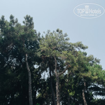 фото из отзыва ID 2712259