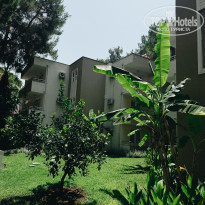 фото из отзыва ID 2712259