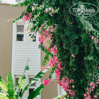 фото из отзыва ID 2712259