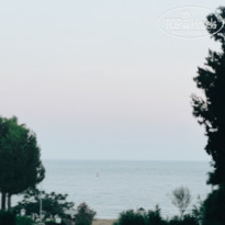 фото из отзыва ID 2712259