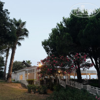 фото из отзыва ID 2712259