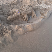 фото из отзыва ID 2712259