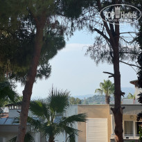 фото из отзыва ID 2712259