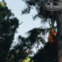 фото из отзыва ID 2712259