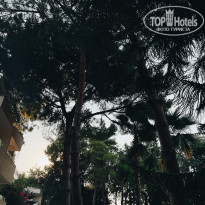 фото из отзыва ID 2712259