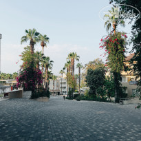 фото из отзыва ID 2712259