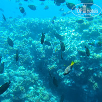 фото из отзыва ID 2712362