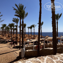 фото из отзыва ID 2712358