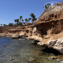 фото из отзыва ID 2712358