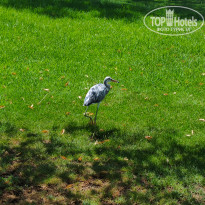 фото из отзыва ID 2712370