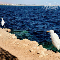 фото из отзыва ID 2712377