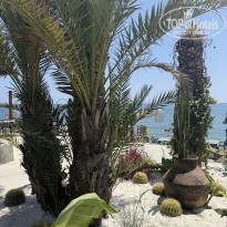 фото из отзыва ID 2712396